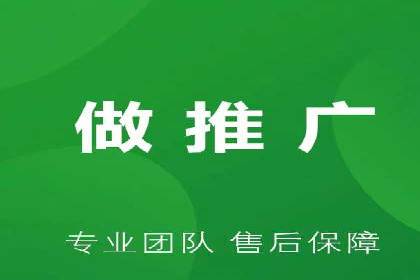 SEM代理案例：揭秘成功背后的秘密