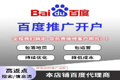 案例解析：百度推广排名提升的实战技巧